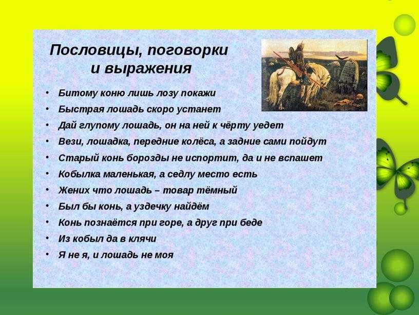 Старинные приметы, народные пословицы и афоризмы про лошадей