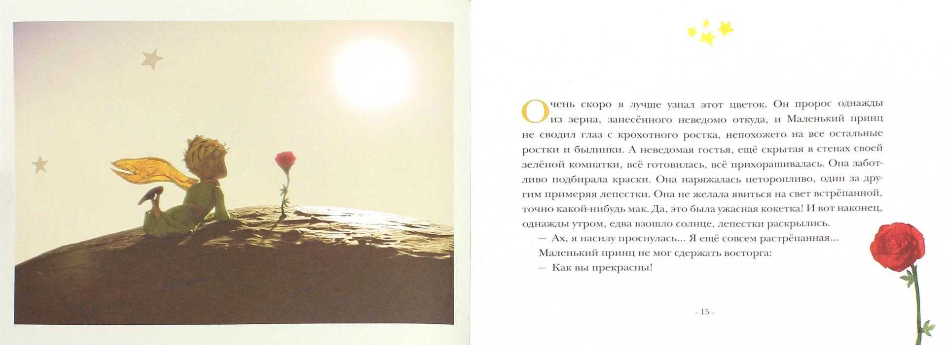 Роза — королева цветов. подборка цитат и статусов про розы