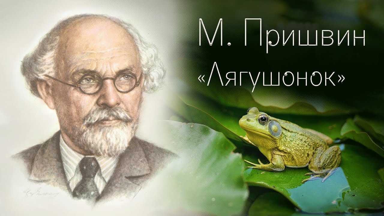 Лягушонок читать онлайн