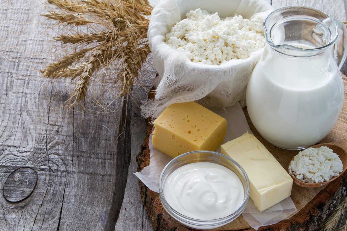 Загадки про молоко и молочные продукты для детей