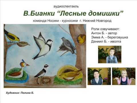 Лесные домишки – краткое содержание рассказа бианки (сюжет произведения)