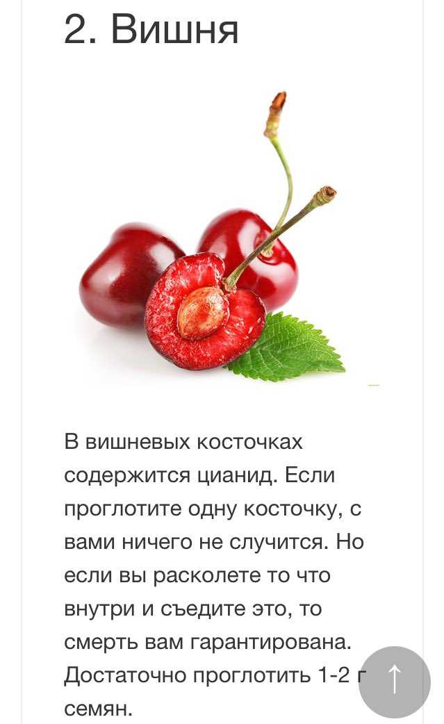 Рассказы детские со словом вишня в названии. вишенка - детская сказка