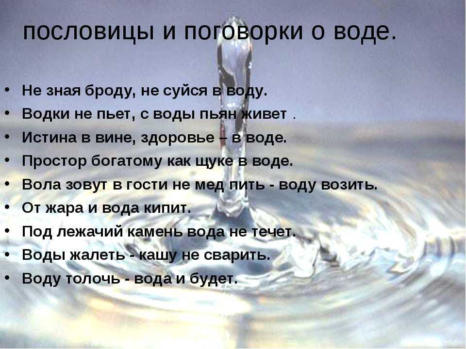 Море: как о нем отзывались наши предки? по волнам пословиц и поговорок