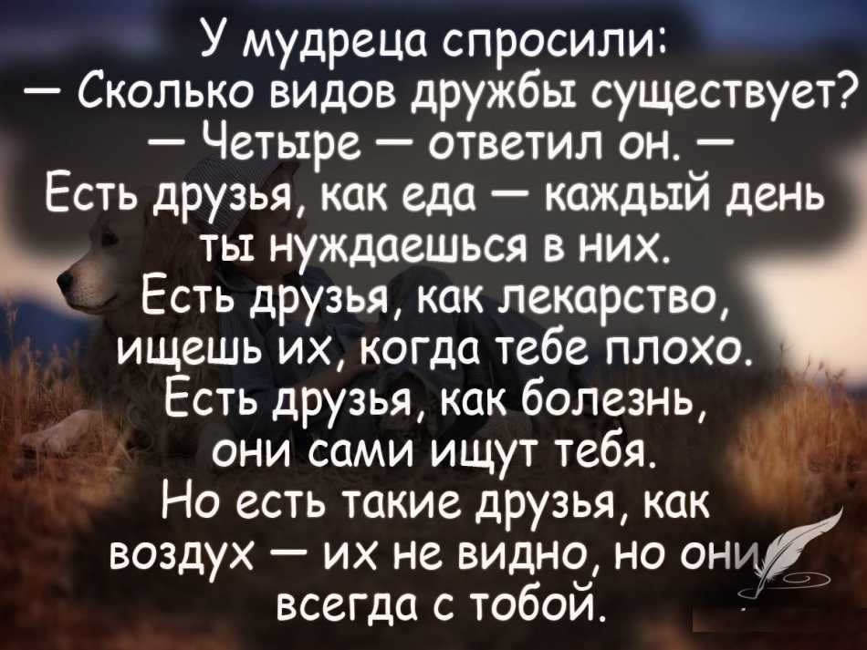 "что такое дружба" - сочинение для школьников