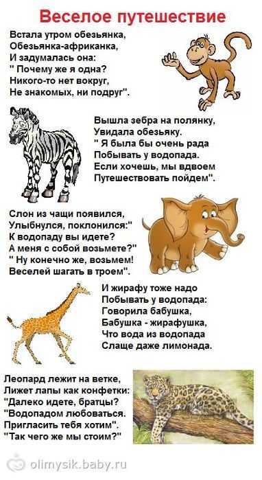 Загадки про интересный мир животных
