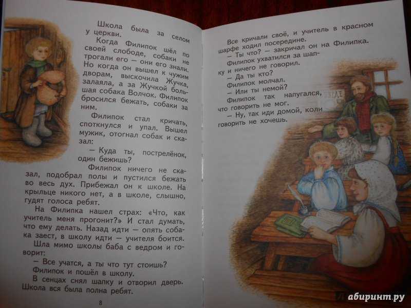 Художественный анализ рассказа «акула» л.н. толстого