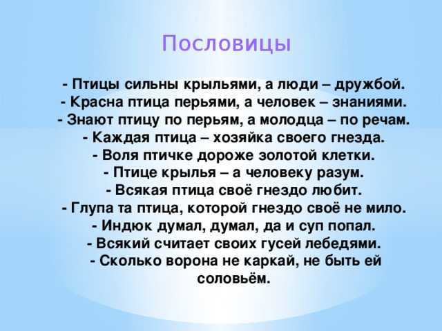 Стихи о перелетных птицах для дошкольников. четверостишья про птиц