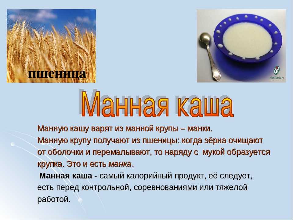 Пословицы и поговорки о каше » текст, видео, картинки