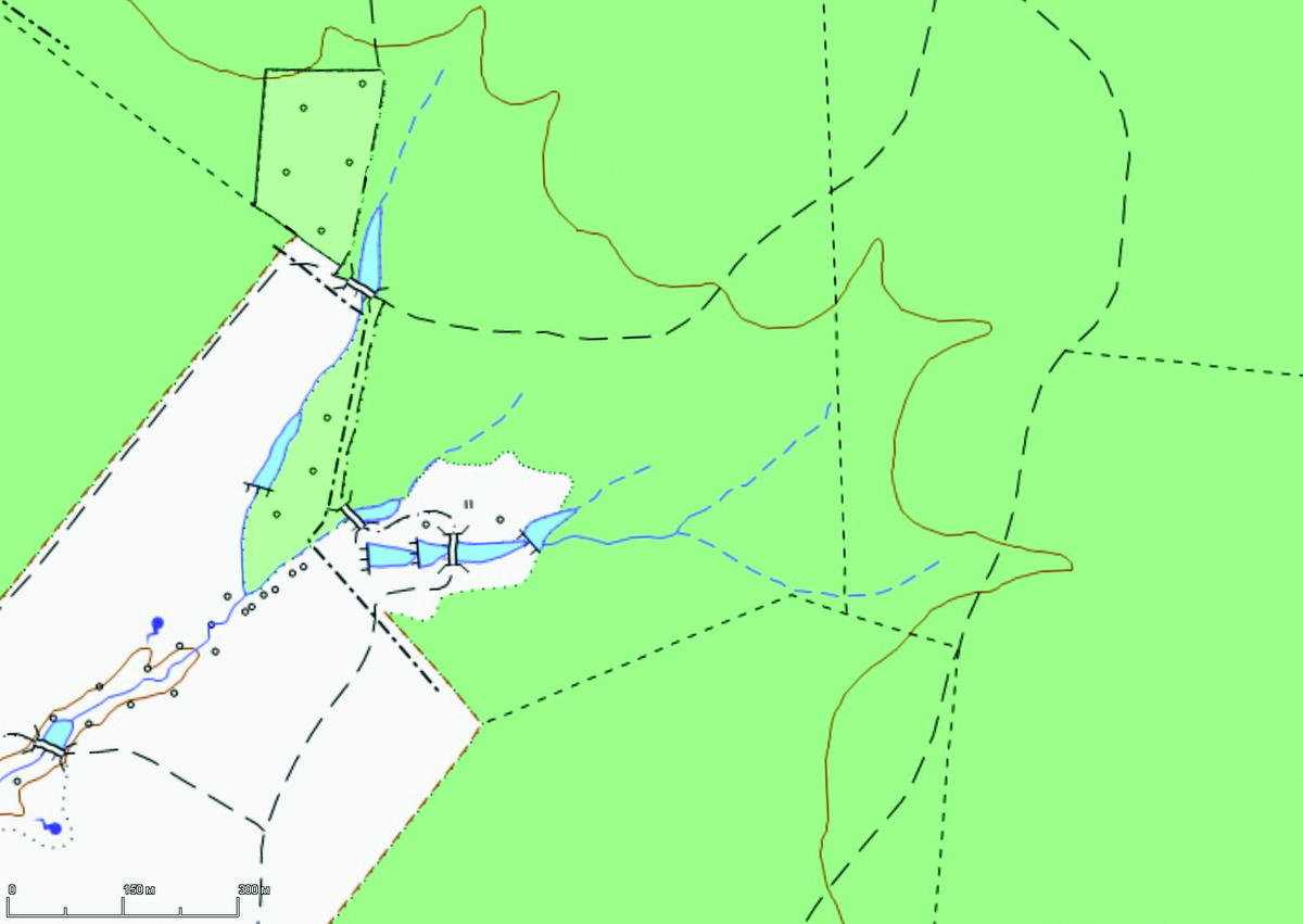 Барсук- описание, ареал, повадки, чем питается, охота