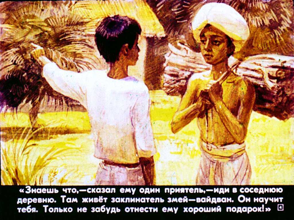 Народные сказки: индийские сказки