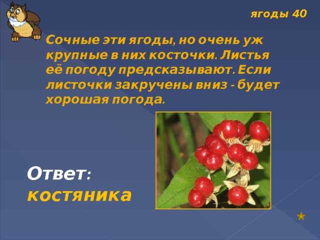 Статусы о ягодах