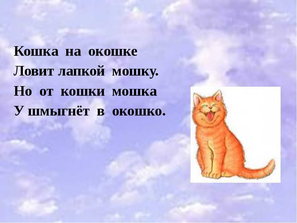 Стихи про кошек — подборка красивых стихотворений про животных