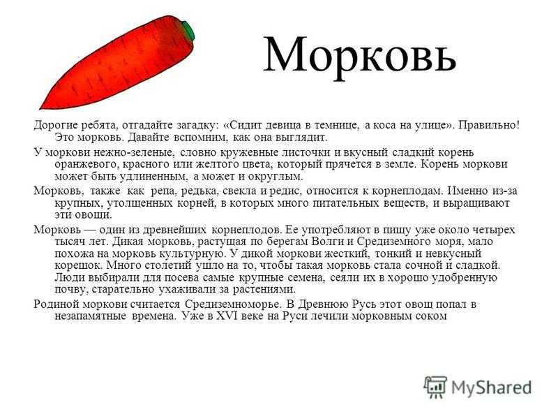 Загадка про морковку