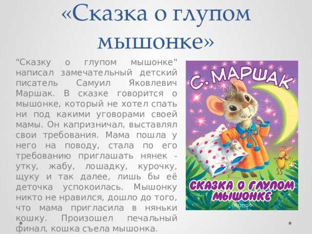 Поведение старых кошек - скд у кошек и котов, почему меняется поведение | caticat.ru