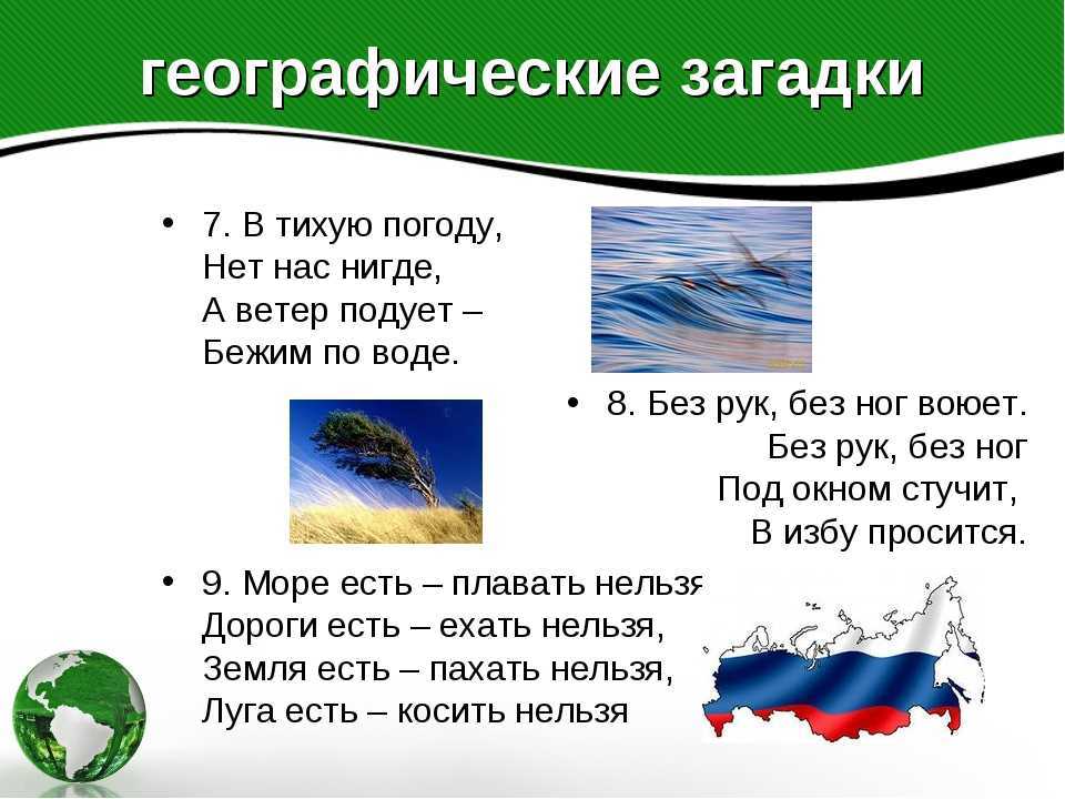 Рассказ о грибах для детей 1 класса: сказка про город грибов по азбуке для 1 класса – всё о детях – беременность, воспитание, уроки для детей