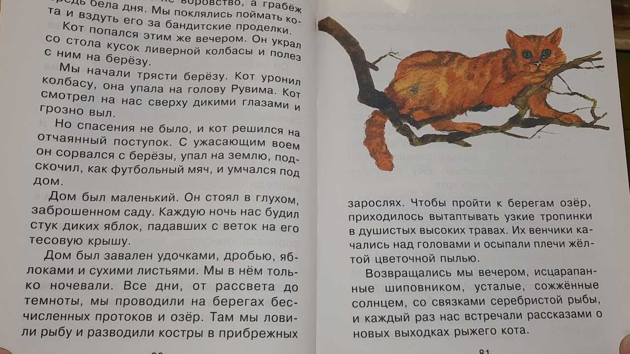 Паустовский «кот-ворюга» читать полностью онлайн