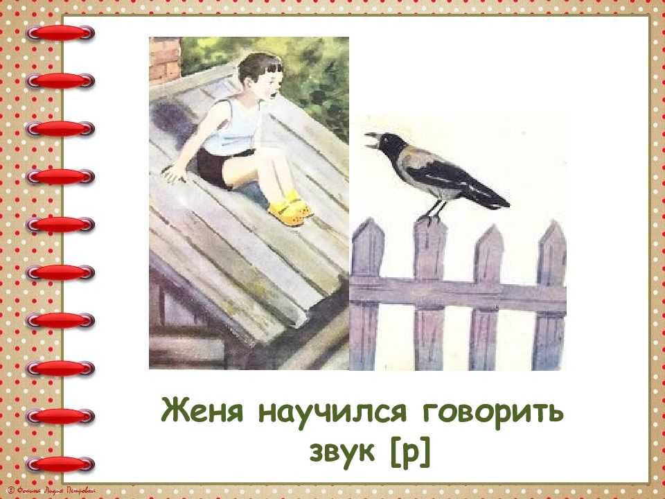 Евгений чарушин: как мальчик женя научился говорить букву «р». рассказы