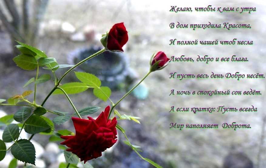 Самуил маршак - четыре глаза