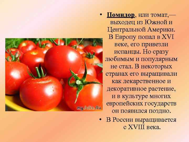 Рассказ про помидор, 1-3 класс
