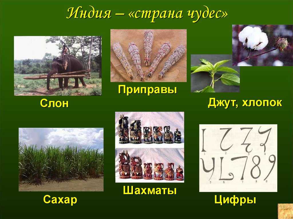 Индия картинки 5 класс. Индия презентация. Презентация по Индии. Индия презентация для детей. Индия проект.