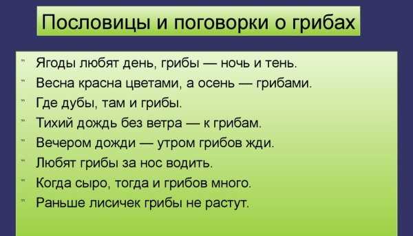 Пословицы и поговорки о лесе читать онлайн бесплатно