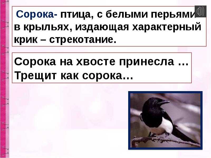Исследовательская работа » что сорока на хвосте принесла»