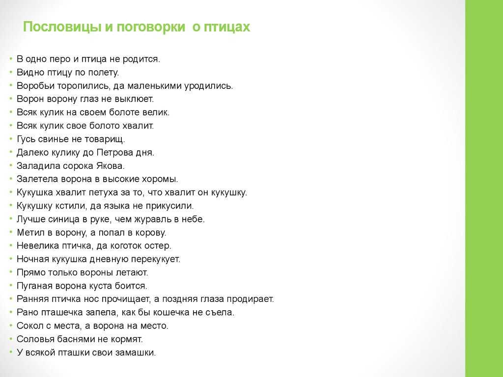 Пословицы и поговорки о животных для детей