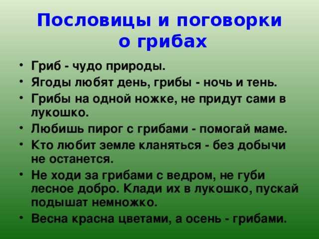 Красивые афоризмы, короткие высказывания и цитаты про лес.