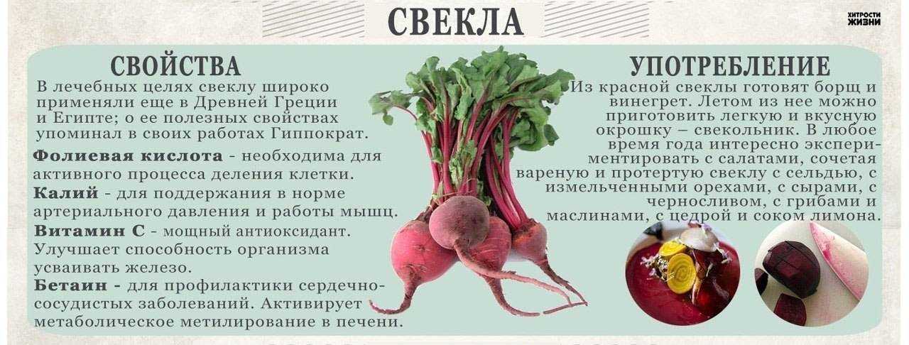 С какого возраста можно давать ребенку чеснок комаровский