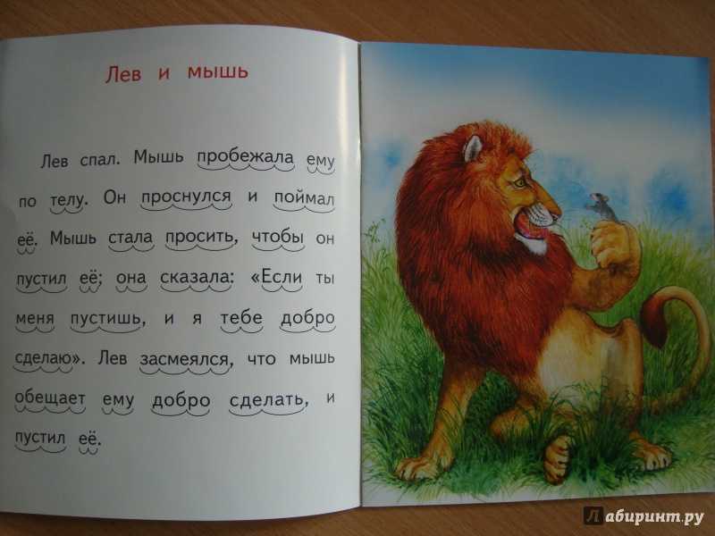 «ветер» краткое содержание для читательского дневника по сказке брэдбери (5 класс) – сюжет, главная мысль, отзыв