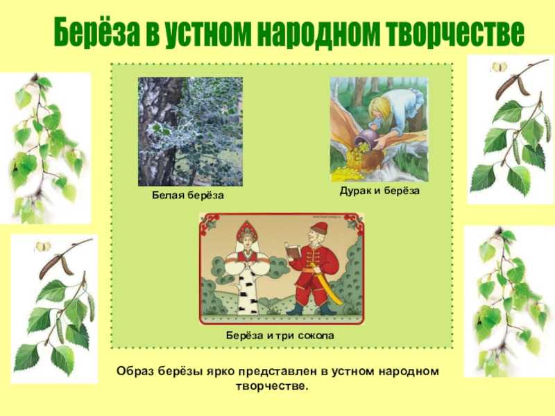 О сказке Русская народная сказка Береза и три сокола Русские народные сказки – быть может, самая замечательная часть устного народного творчества Сказочные