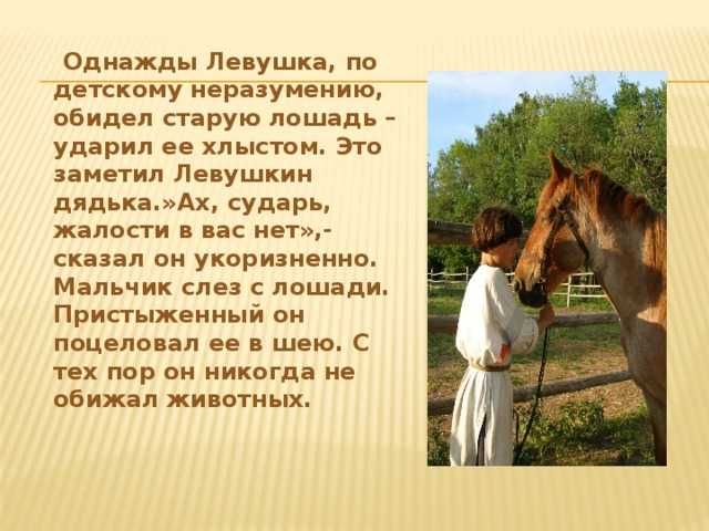 Лев толстой ★ котёнок читать книгу онлайн бесплатно
