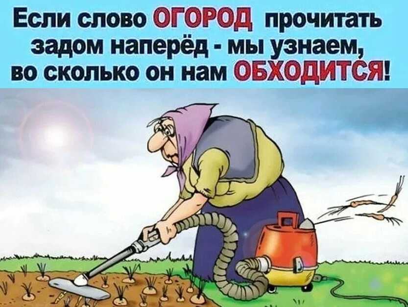 Статусы про огород