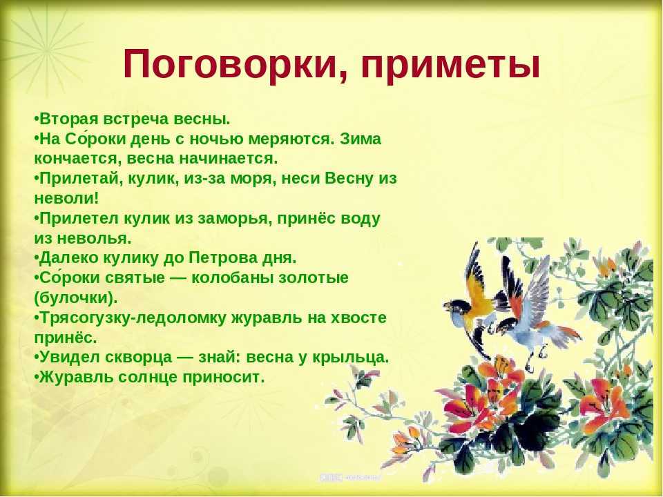 Значение пословицы одна ласточка весны не делает. что означает выражение «одна ласточка весны не делает»