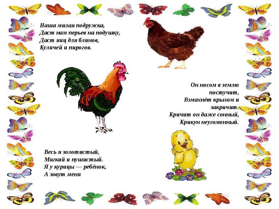 Загадки про кошку