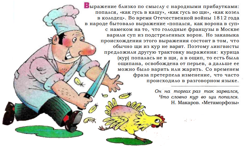 Что входит в щи. пословицы и поговорки про щи. богатые щи из квашеной или свежей капусты