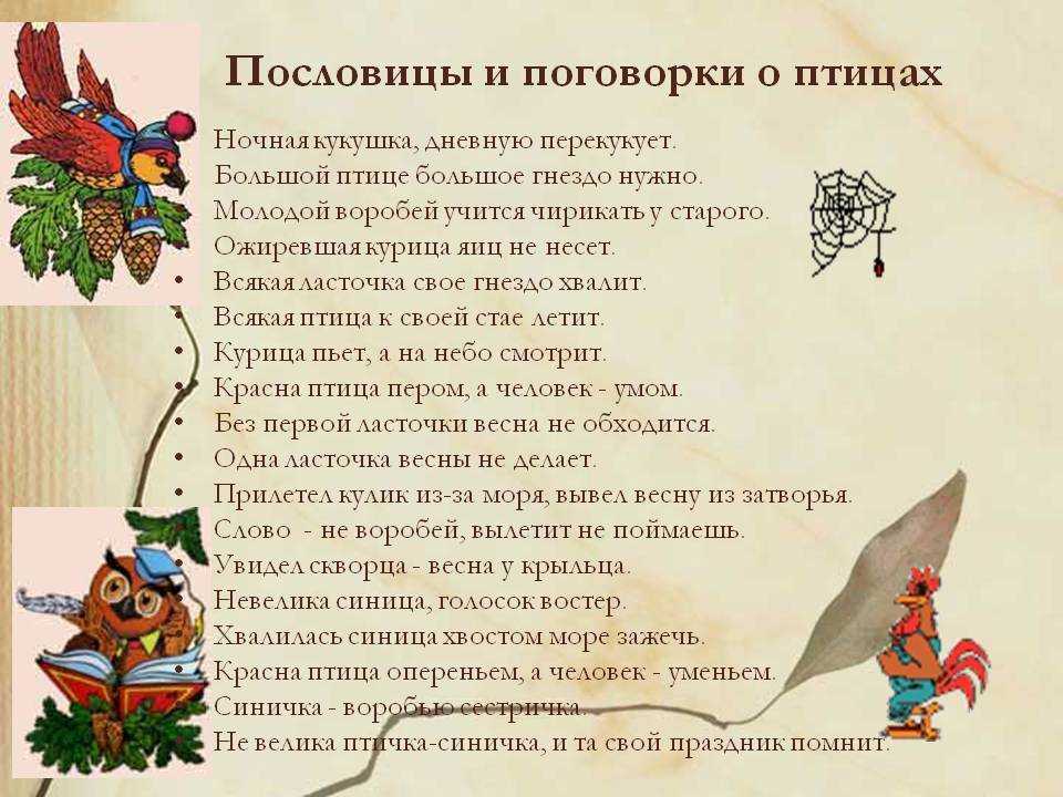 Всем известно, что заяц труслив Труслив-то труслив, да все равно зверь, а значит, на что-то способен Из сказки ЛН Толстого Сова и заяц мы узнаем о том,