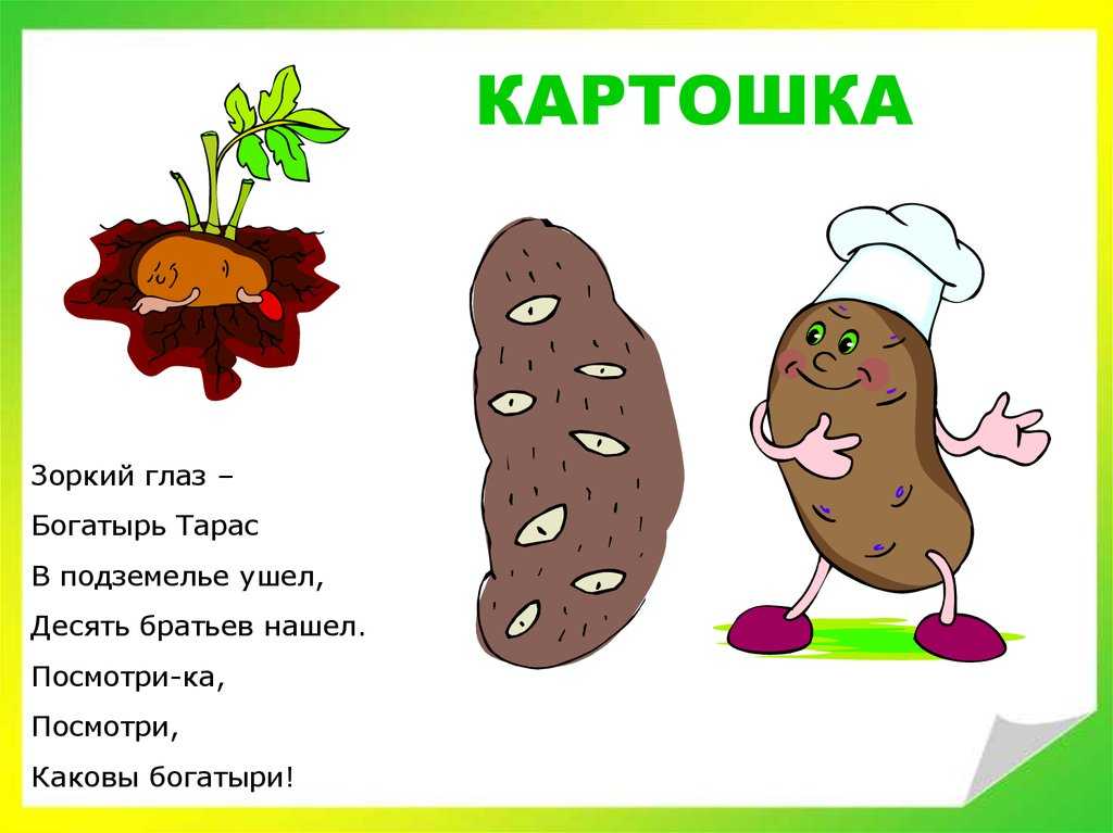 Сказка про картошку в традициях. большое путешествие картофеля