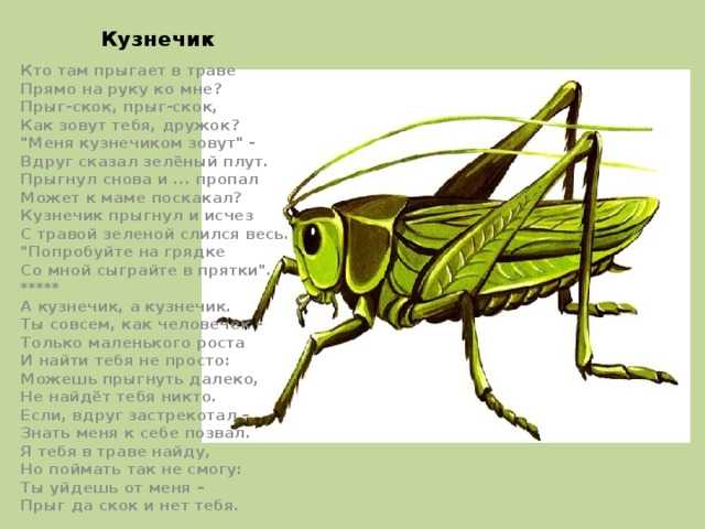 Зелёная сказка: сказка натальи корнельевны абрамцевой читать онлайн