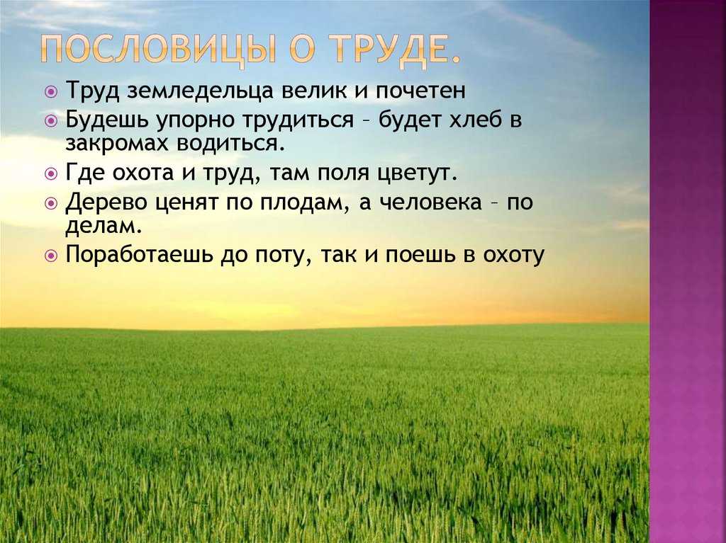 Загадки и пословицы о земле кормилице и растениях | пословицы для детей