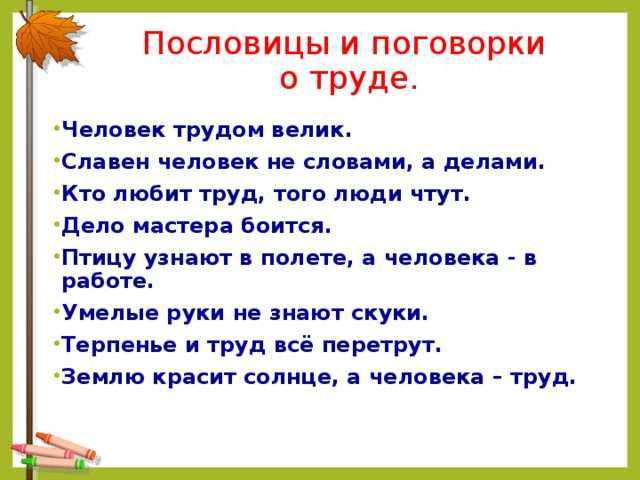 Загадки, пословицы и стихи о комнатных растениях материал по окружающему миру (подготовительная группа) на тему