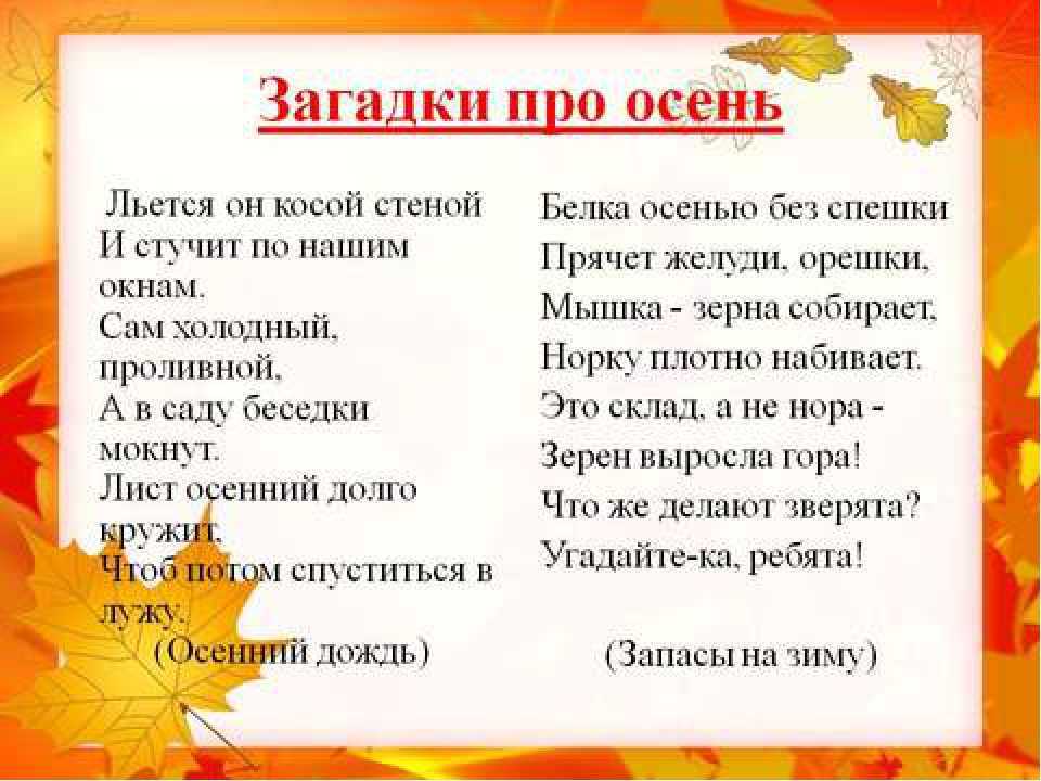 Разбираемся в принципе «одна ласточка не делает весны»: как правильно интерпретировать эту пословицу