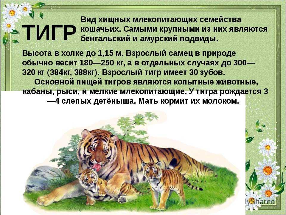 Конспект урока по литературному чтению «н. носов. огородники»