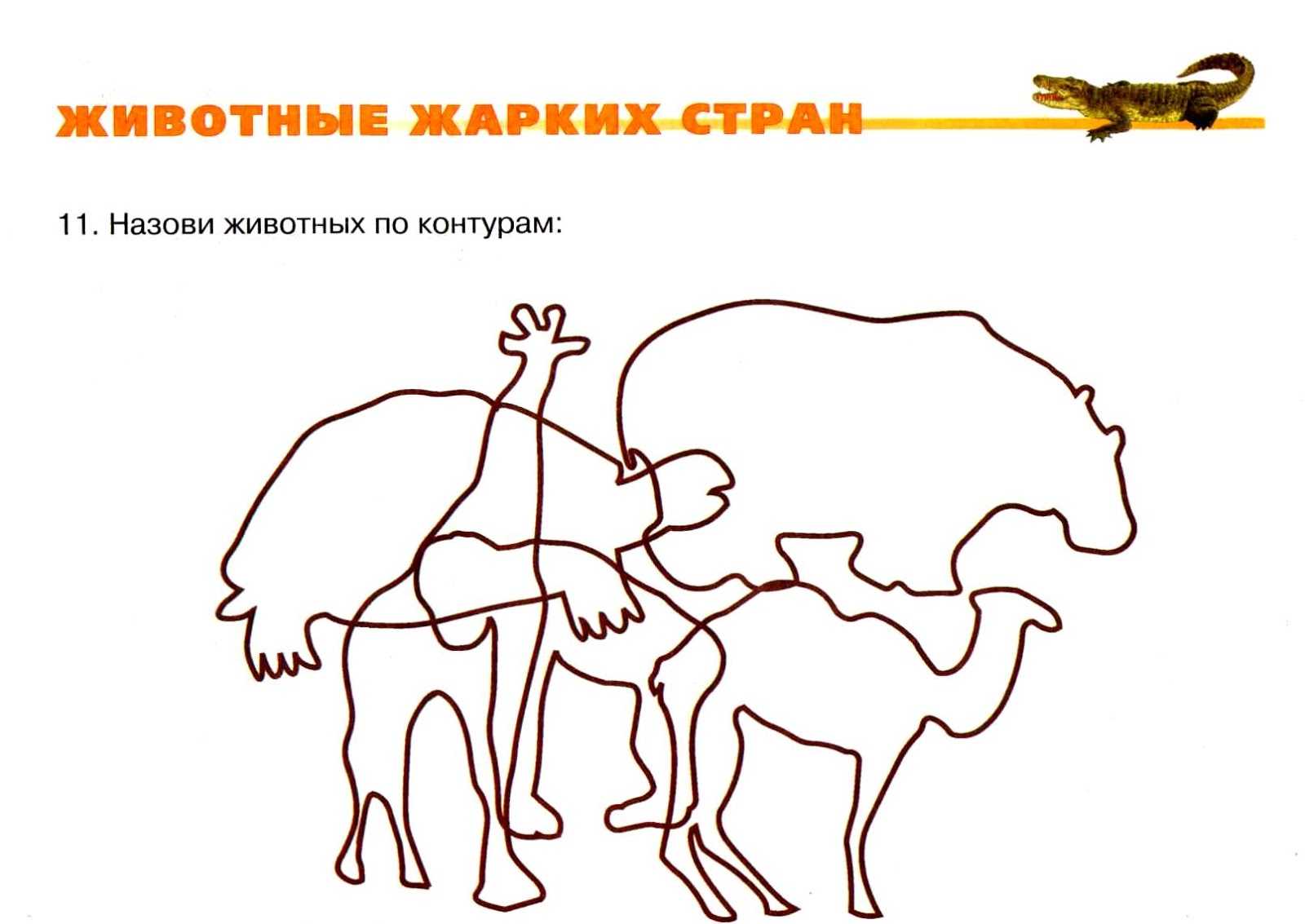 Евгений чарушин: охотничьи рассказы