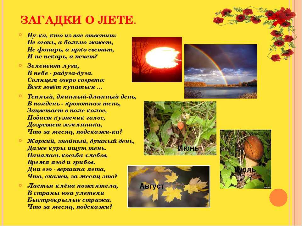 Земляника созревает. когда это бывает? загадки про лето