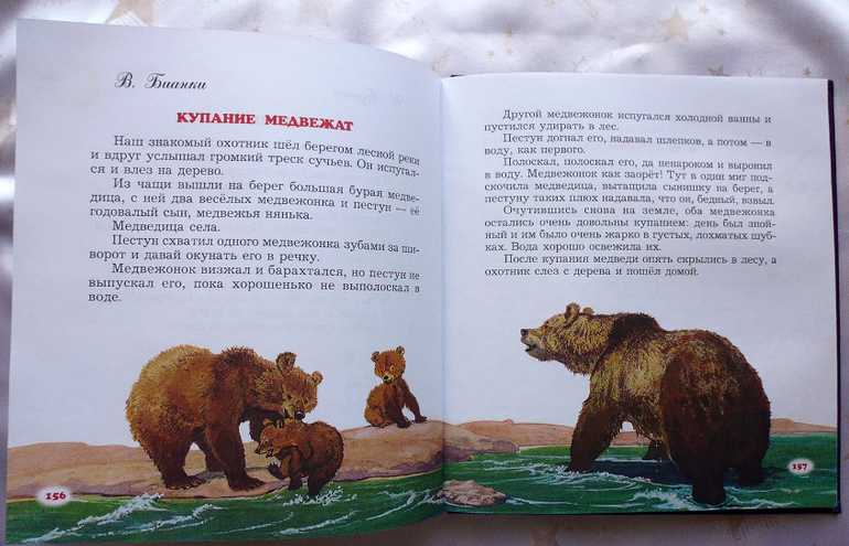 Читать про мишку. «Купание медвежат» Бианко книга. Рассказ Бианки купание медвежат. Рассказы Бианки про медведя.