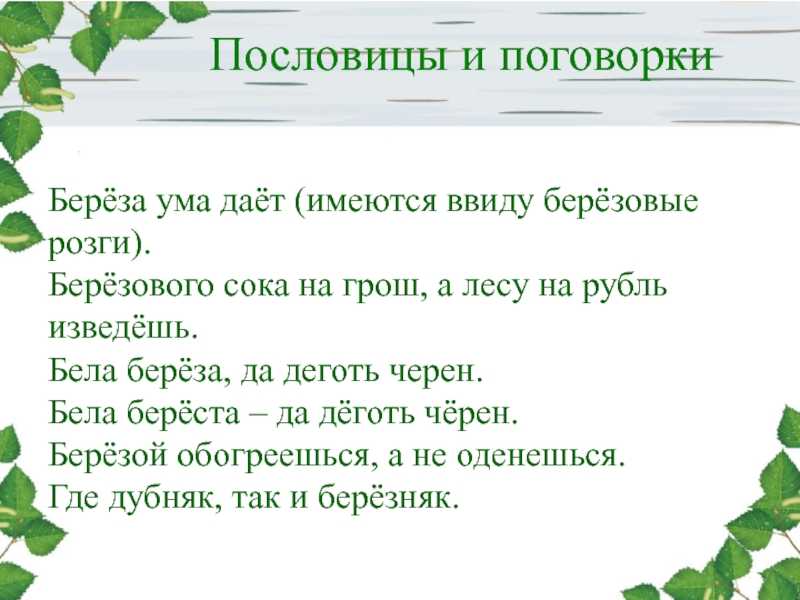 ✅ пословицы о деревьях «129 шт» поговорки для 1,2,3,4,5 класса