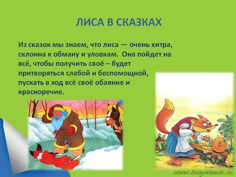 Сказка "зайкина избушка": краткое описание и основная информация :: syl.ru