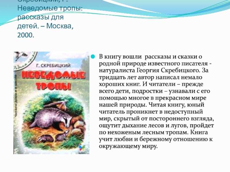 Краткое содержание «мальчики» за 1 минуту и подробно за 3 минуты