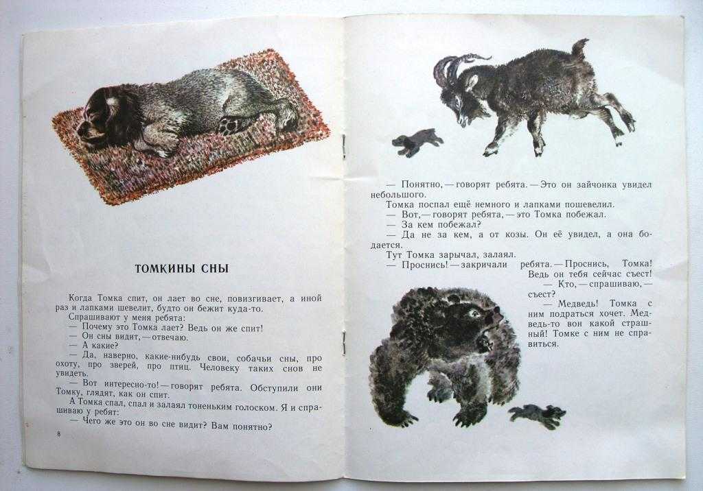 Е чарушин страшный рассказ читать. чарушин е. и. художественные произведения о мире животных. евгений чарушин
 страшный рассказ
